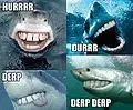 $120px-Derp-shark.webp