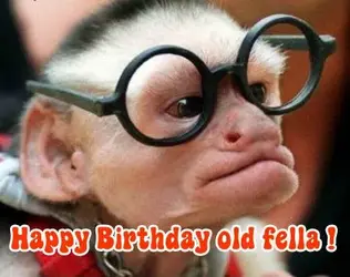 $Happy-Birthday-old-fella.webp