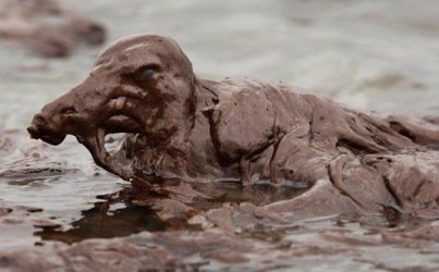 $oil spill.jpg