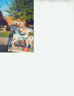 $bubs stjoe.webp $bubs stjoe.webp
