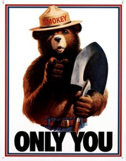 $d834smokey-bear-only-you-posters.jpg