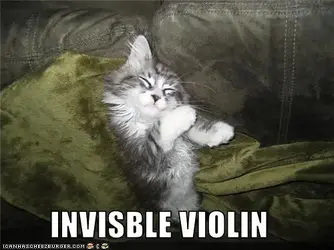 $funny-pictures-cat-has-invisible-violin.webp