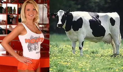 $hootersandcow.webp