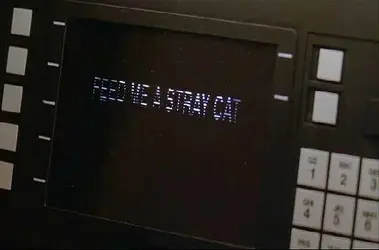 $feed_me_a_stray_cat.webp $feed_me_a_stray_cat.webp