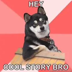 $cool-dog-hey-cool-story-bro41.webp