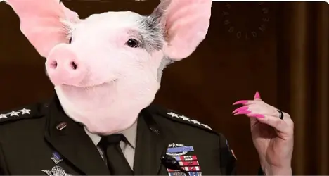 milley pig.webp
