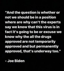 Biden quote.jpg