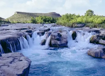1627523052177.webp