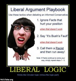 liberal-logic-liblogic-politics-1314149516.jpg
