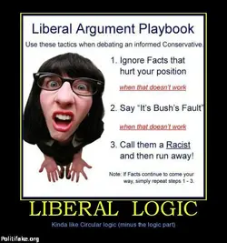 liberal-logic-liblogic-politics-1314149516.webp