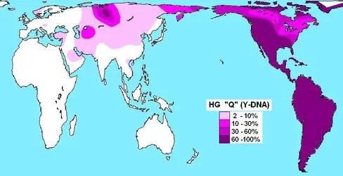 haplogroupQ.webp