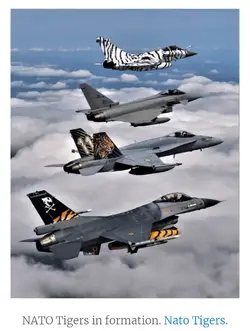 Screenshot_20210825-141254.webp Screenshot_20210825-141254.webp