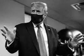 Screen Shot 2021-09-11 at 7.14.56 AM.webp