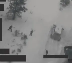 F.arms in the air.webp