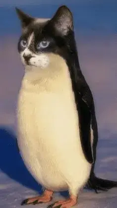 1631856704723.webp