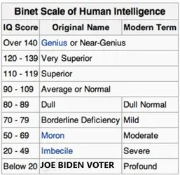 Binet-Simon_scale.jpg