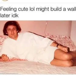 T_006tmp.114 (29).webp