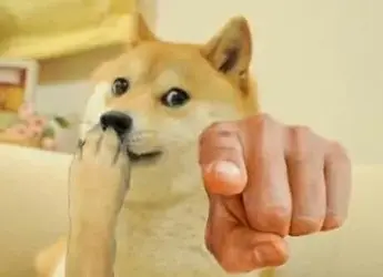 45c01d887ce499a34c3ffd7ba2e6bea1.webp 45c01d887ce499a34c3ffd7ba2e6bea1.webp