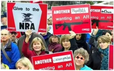 left want ar 15.webp
