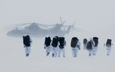arctic.webp