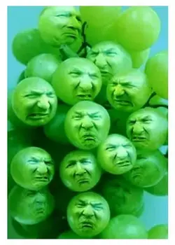 Sour-Grapes.webp
