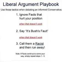 Liberal_playbook_1_797x800.webp