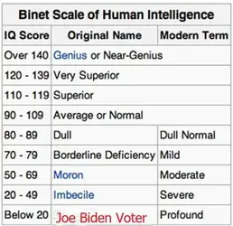 Binet-Simon_scale.webp Binet-Simon_scale.webp