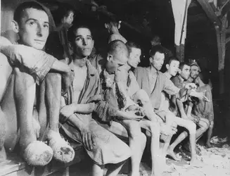 holocaust1.webp