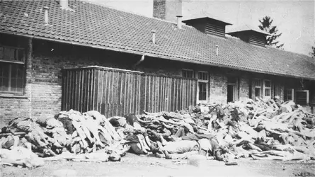 Holocaust3.jpg