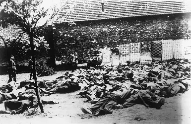 Holocaust4.jpg