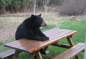 _00-rea-008 (20).webp