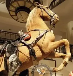 2012321040-300x0.webp