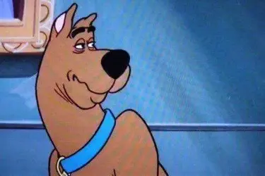 _00-rea-008 (18).webp