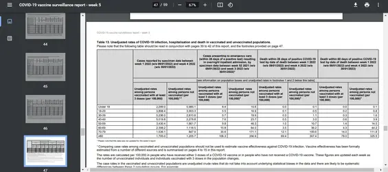 UK report Feb 6.webp