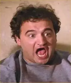 $John_Belushi_Biography_2.webp