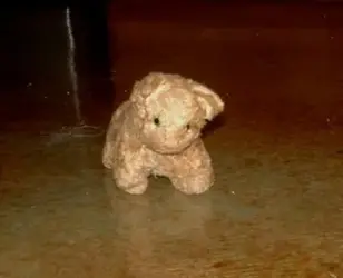 $stuffedkitty2.webp