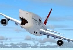 $250px-Sharkplane.jpg