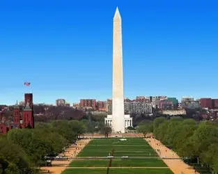 $National Mall after a Tea Party.webp