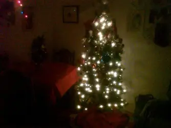 $tree pic.webp $tree pic.webp