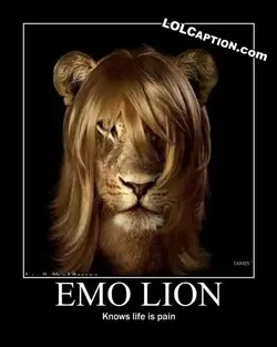 $no-pain-emolion.webp
