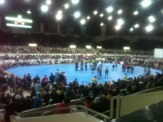 $roller derby night.webp $roller derby night.webp