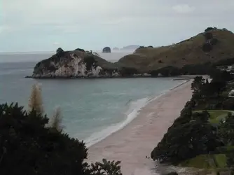 $6961_new_zealand_coast.webp