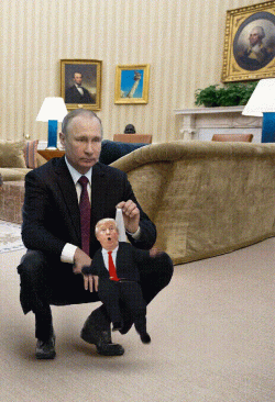 63pgo53e7mj81.gif.gif