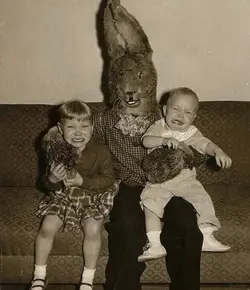 bunny.webp