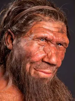 image_1734-Neanderthal-DNA.webp