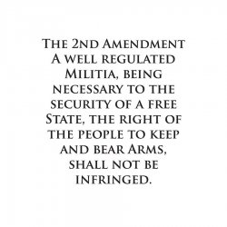 the-2nd-amendment-of-the-constitution-second-rights-wording-meaning-definition-full-text-red-d...jpg