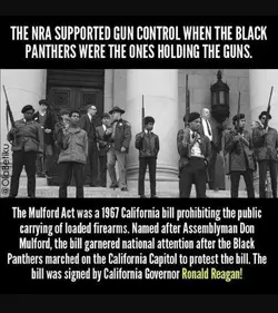 _00.rac008 (28).webp