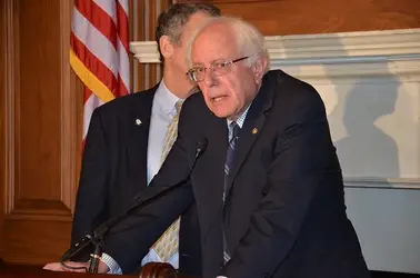 Bernie.webp