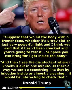 T_006tmp.114 (40).webp