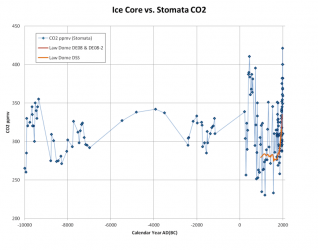 Stomata and CO2.png